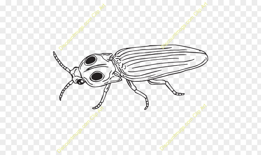 Click Bug Beetle Clip Art Weevil Butterfly /m/02csf PNG