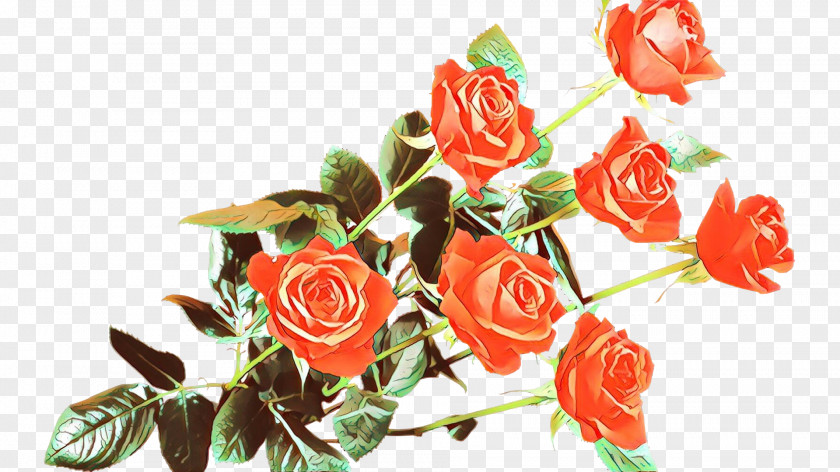 Garden Roses Cut Flowers Kargalybash Floral Design PNG