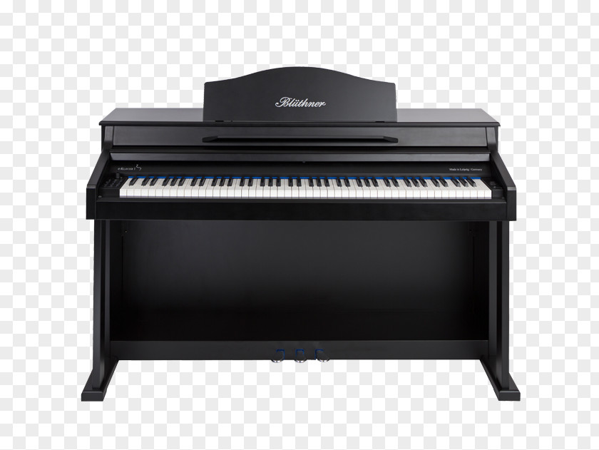 Piano Tuning Digital Electric Pianet Player Musical Keyboard PNG