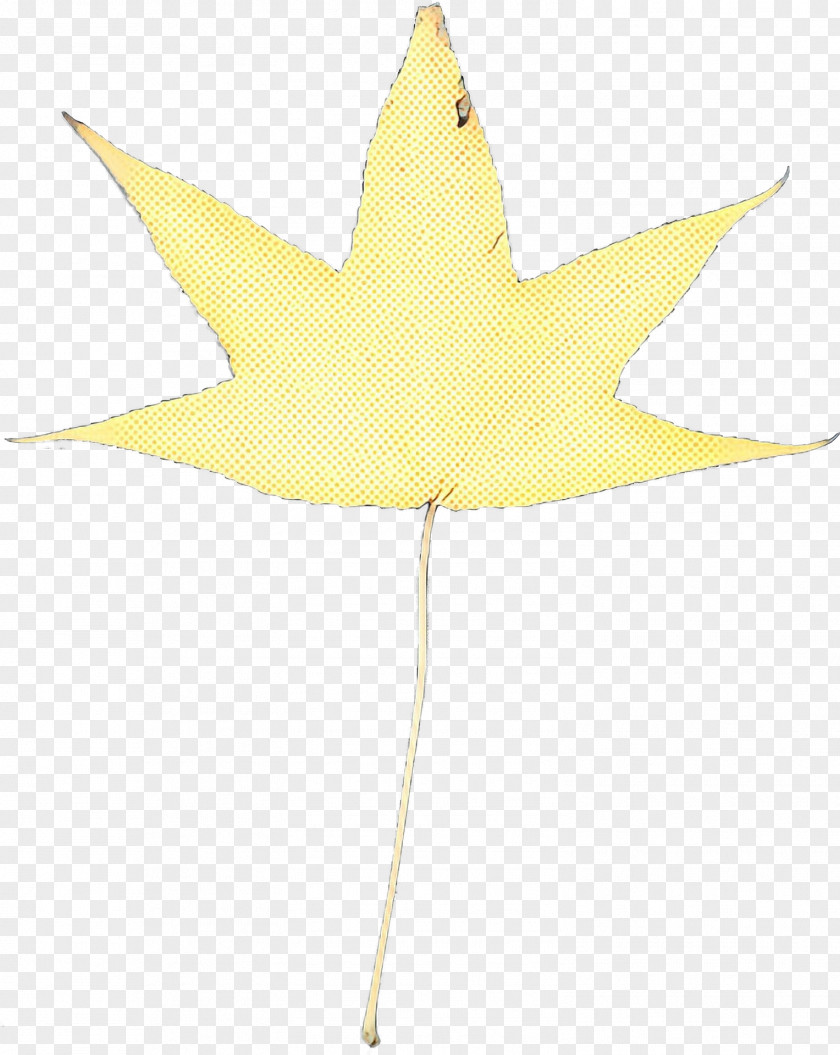 Star Plane Cartoon PNG