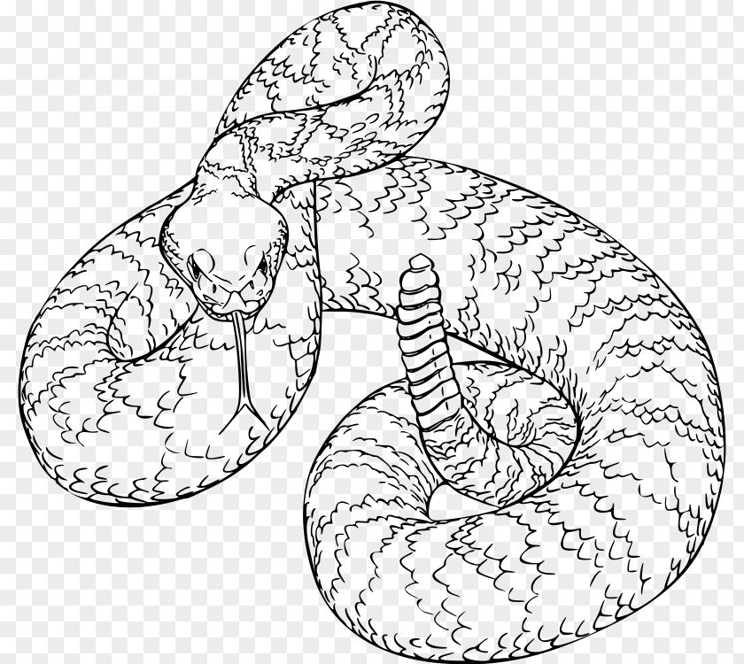 Western Diamondback Rattlesnake Clip Art PNG