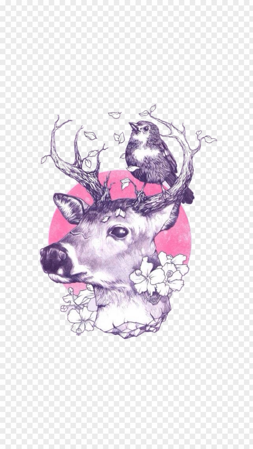 Animal Deer Art Drawing Tattoo Illustration PNG