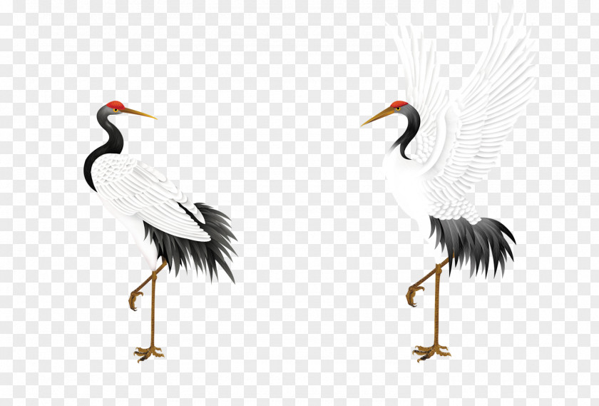 Crane Red-crowned Jichang Garden Bird Budaya Tionghoa PNG