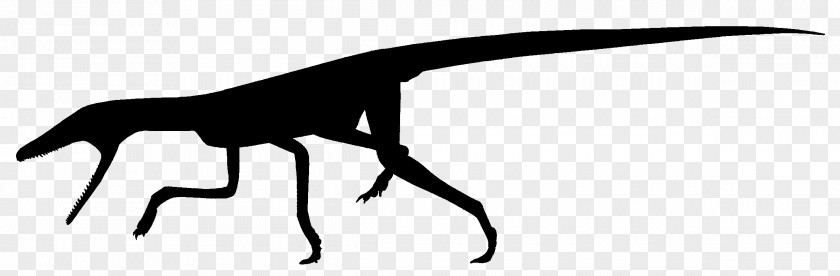 Dinosaur Silhouette Terrestrisuchus Shuvuuia Theropods Dilophosaurus Archosaur PNG