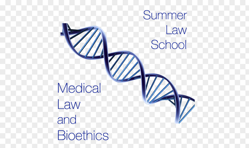 Law School The Double Helix: A Personal Account Of Discovery Structure DNA Nucleic Acid Helix Adenine PNG