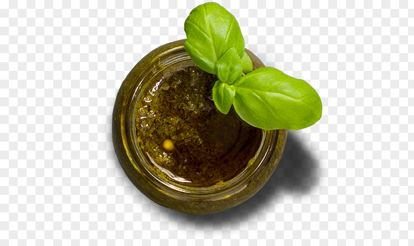 Pesto Basil Leaf Vegetable Herbalism PNG