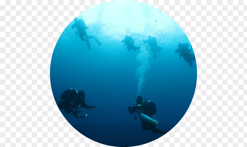 Snorkeling Hawaii Scuba Diving Underwater Cycling Bicycle Professional Association Of Instructors PNG