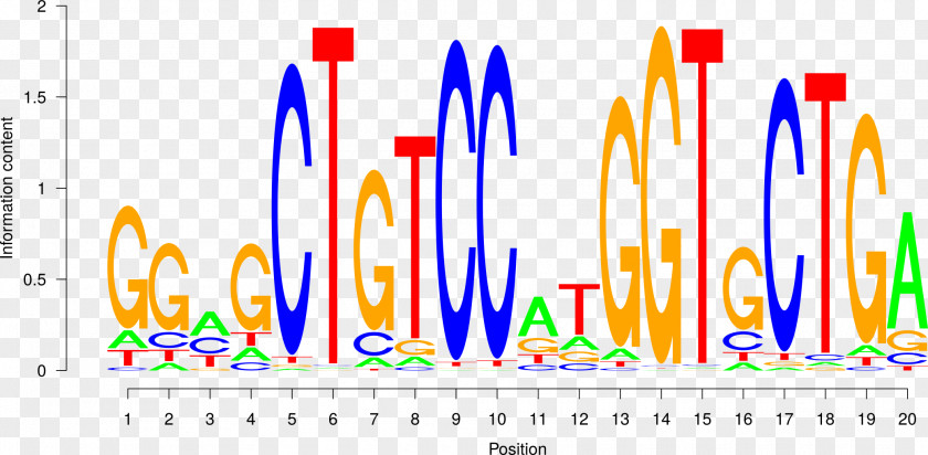 Transcription Factor DNA Binding Site Sequence Motif PNG