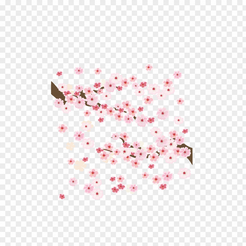 Vector Pink Japanese Cherry Bloom In Full Blossom Clip Art PNG
