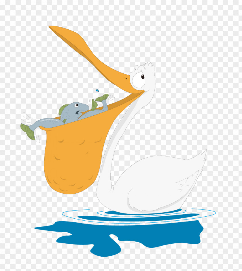 Big Mouth Duck Beak Illustration PNG