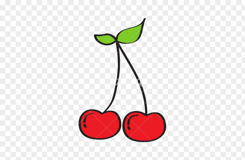 Cherry Fruit Drawing PNG