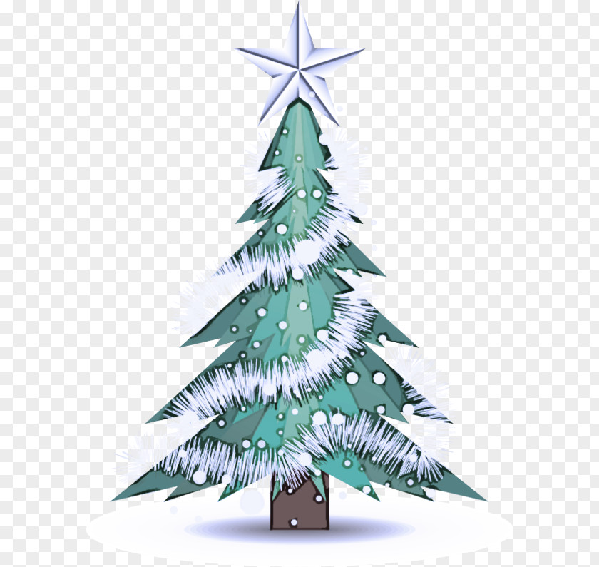 Evergreen Pine Christmas Tree PNG