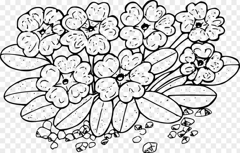 Flower Coloring Book Wildflower Drawing PNG