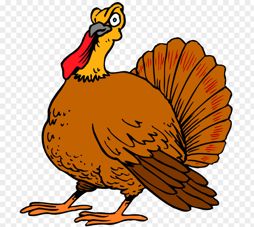 Free Turkey Images Thanksgiving Day Wish Happiness PNG