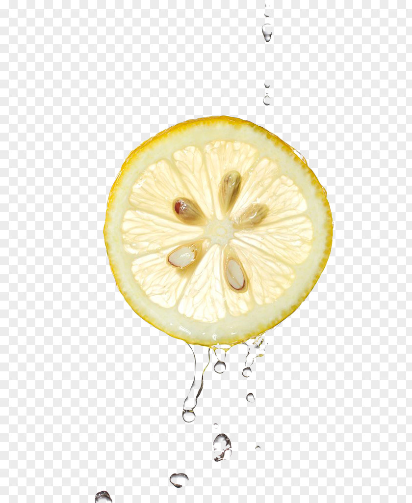 Lemon,fruit,slice,Dripping,juice Lemon Juice Fruit PNG