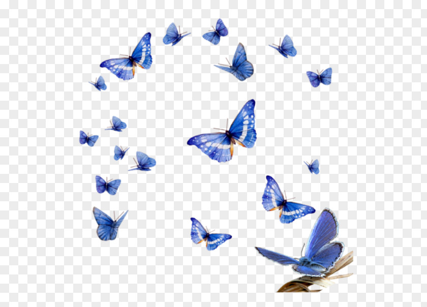 Violet Clipart Butterfly Clip Art PNG