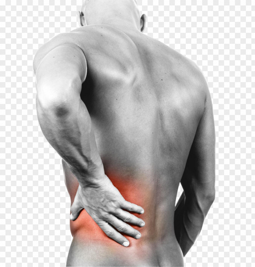 Back Pain Low Human Therapy Injury PNG