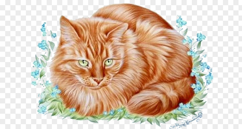 Cat Drawing Painter PNG