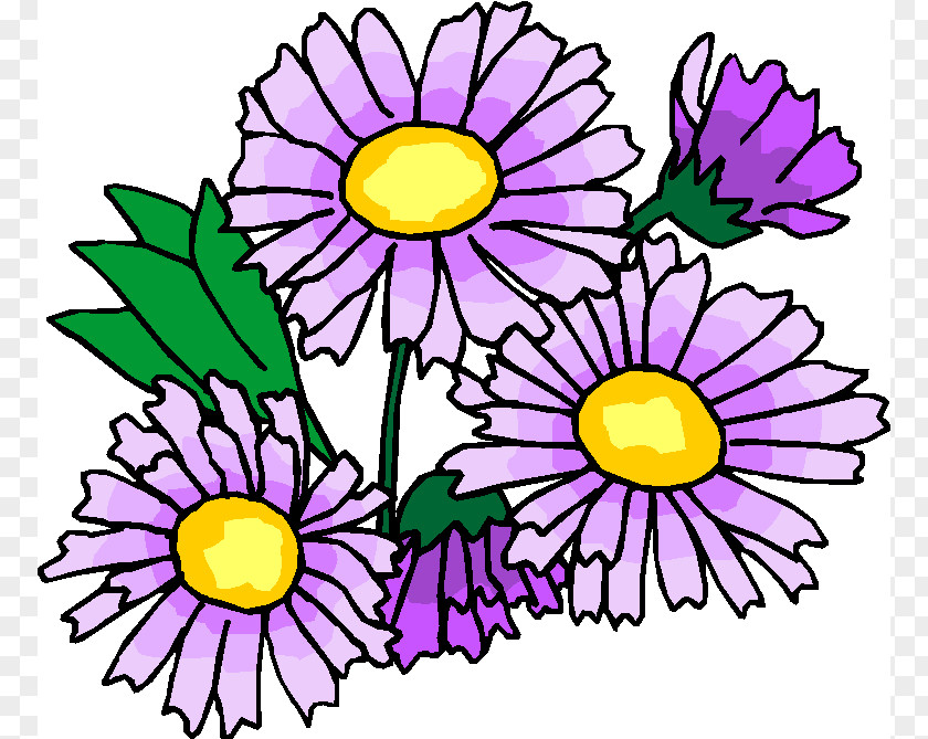 Hibiscus Flower Drawings Free Content Clip Art PNG