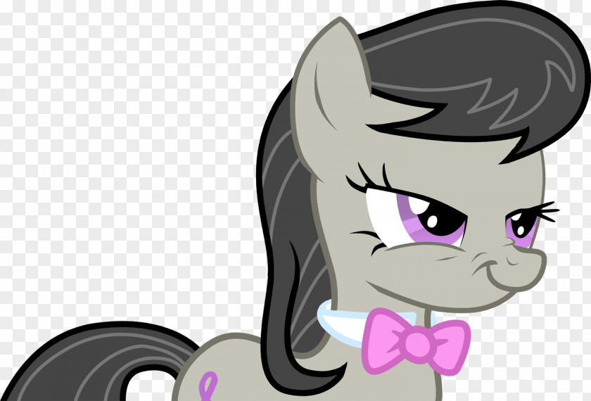 Kitten My Little Pony: Friendship Is Magic Derpy Hooves Rainbow Dash PNG