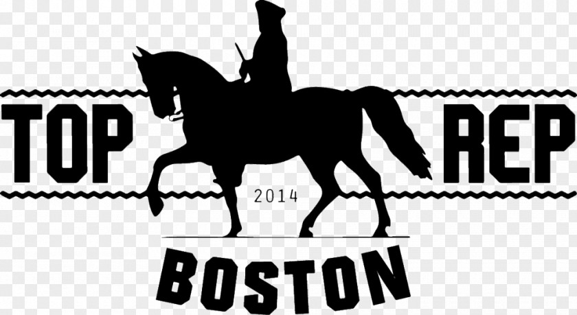 Mustang Boston What Do You Hear Logo Rein PNG
