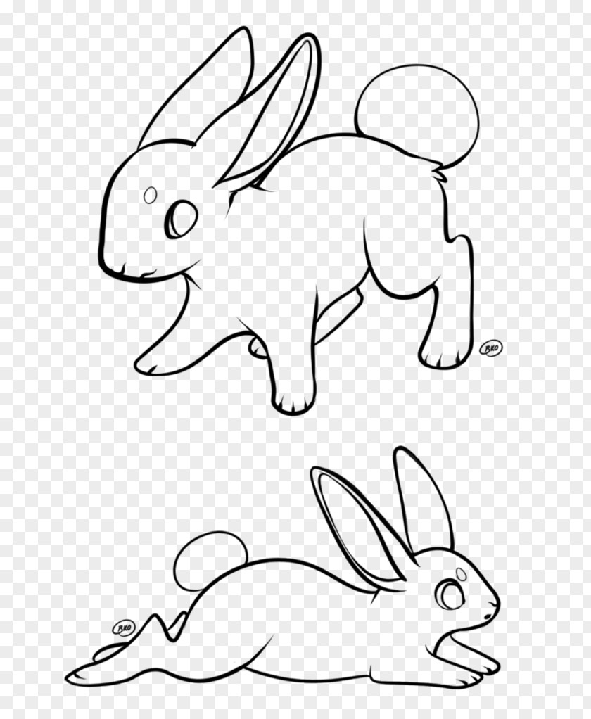 Rabbit Domestic Hare Whiskers Base PNG