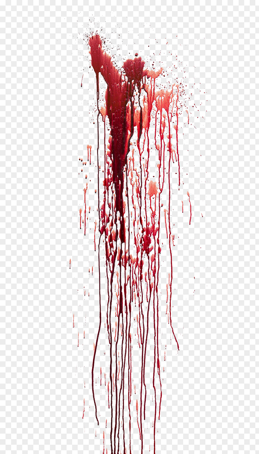 Suspense Horror Bleeding Blood PNG