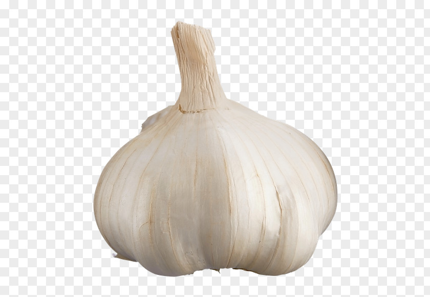 Vegetable Elephant Garlic Solo Onion Loblaws PNG