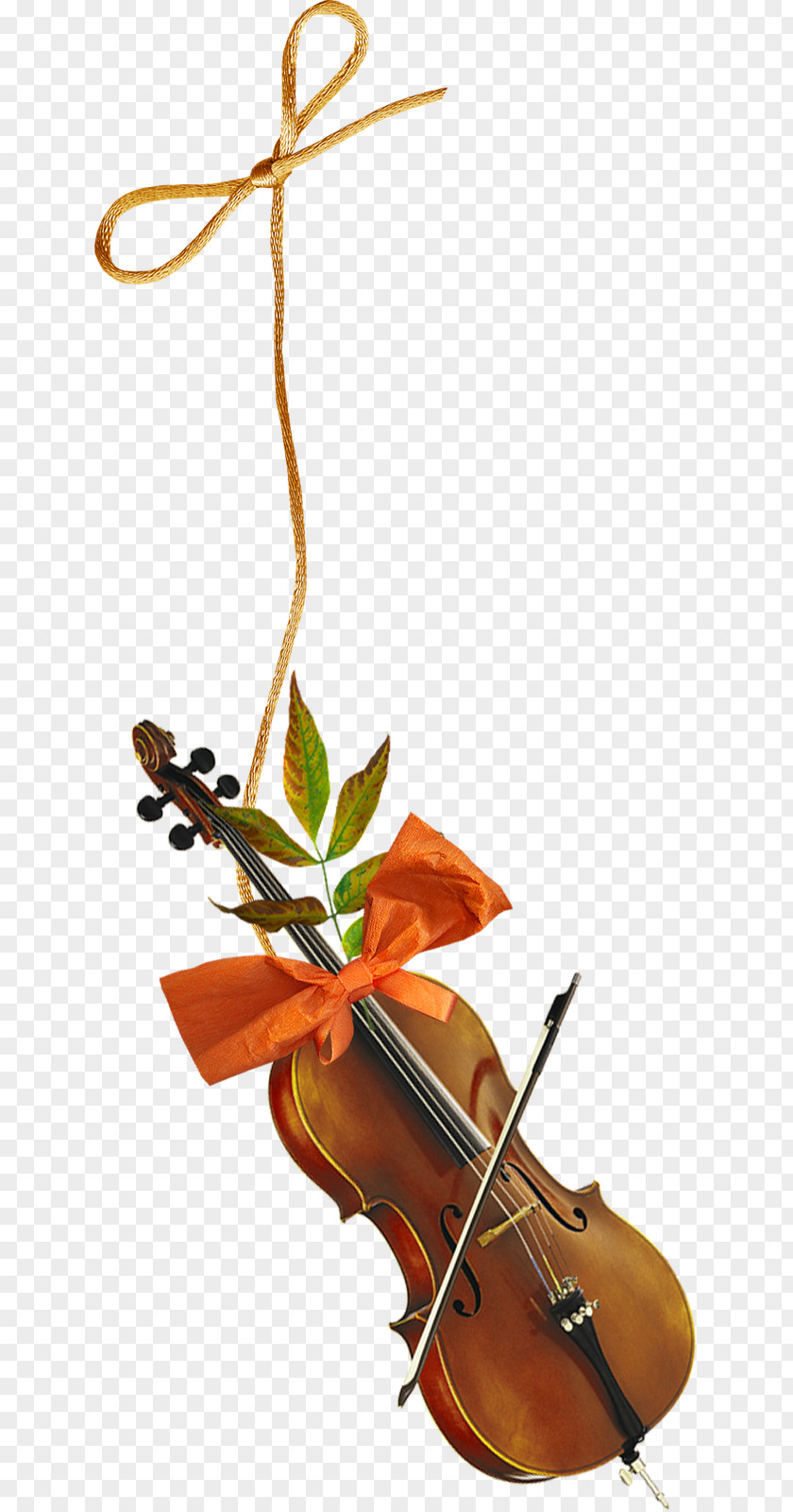 Violin Violone Cello Viola Musical Instruments PNG