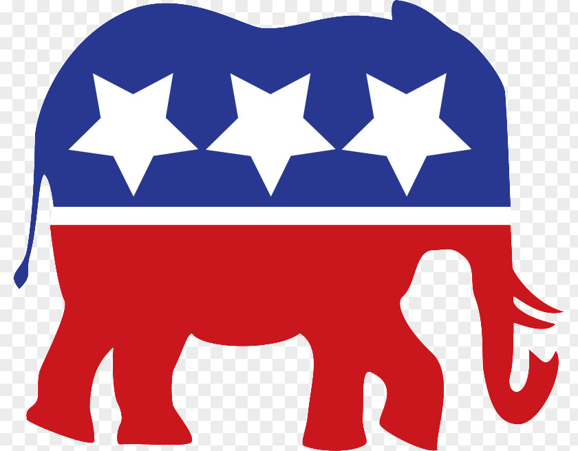 Eyebrows United States Missouri Republican Party Political Democratic PNG