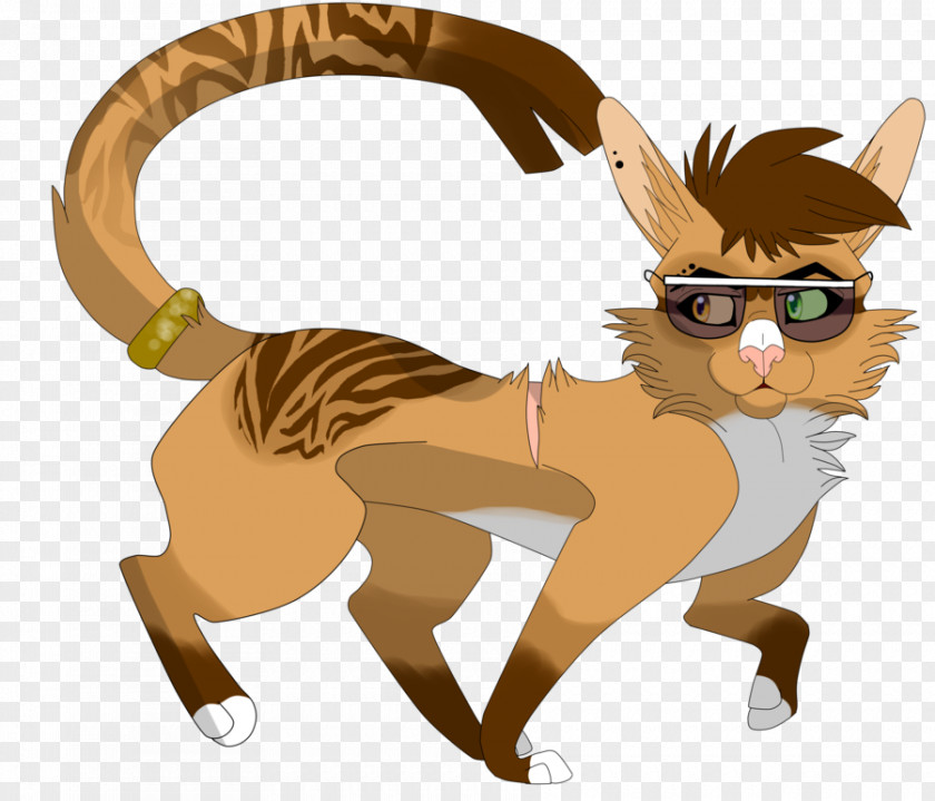 Kitten Lion Cat Horse PNG