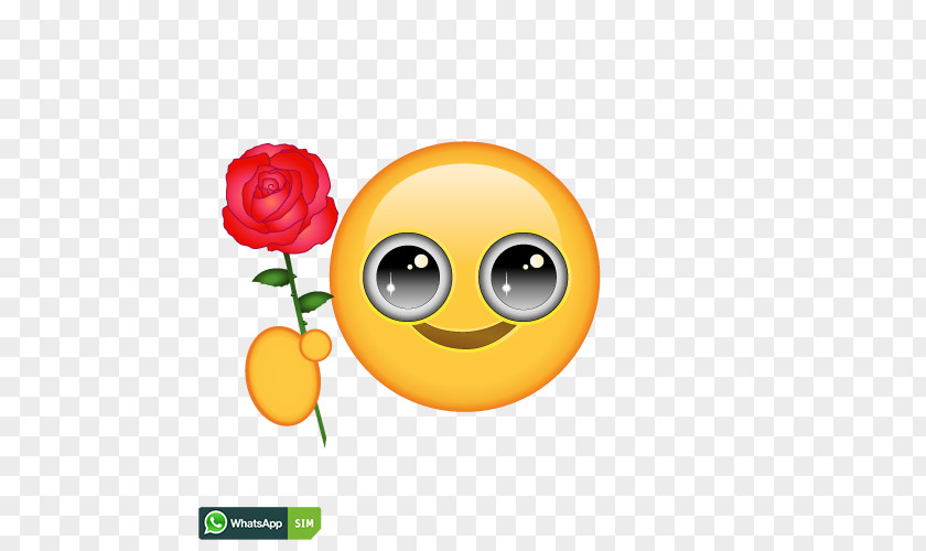 Smiley Emoticon Wink Laughter Desktop Wallpaper PNG