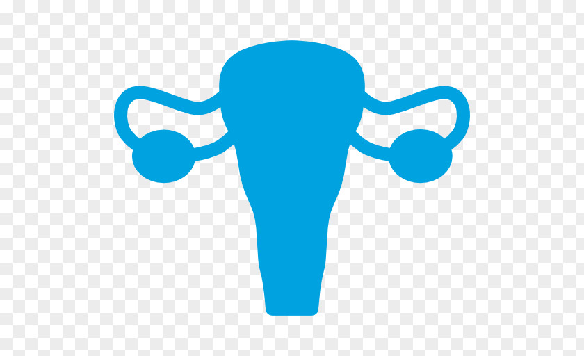 Woman Female Reproductive System Medicine Gynaecology Ovary PNG