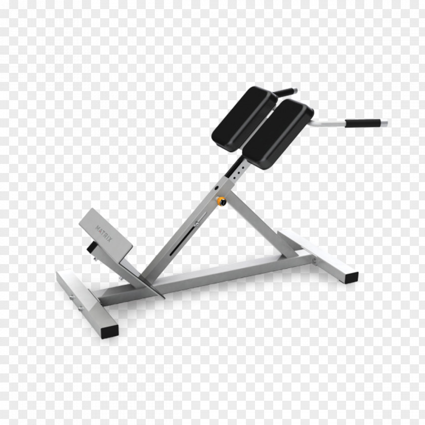 Bench Hyperextension Roman Chair Exercise Equipment Weight Training PNG