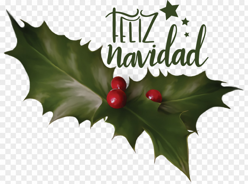 Feliz Navidad Merry Christmas PNG