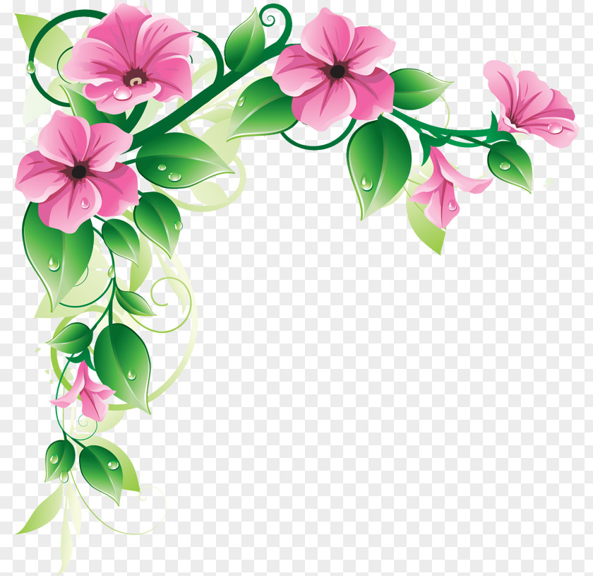 Flowers Borders High-Quality Adobe Illustrator PNG
