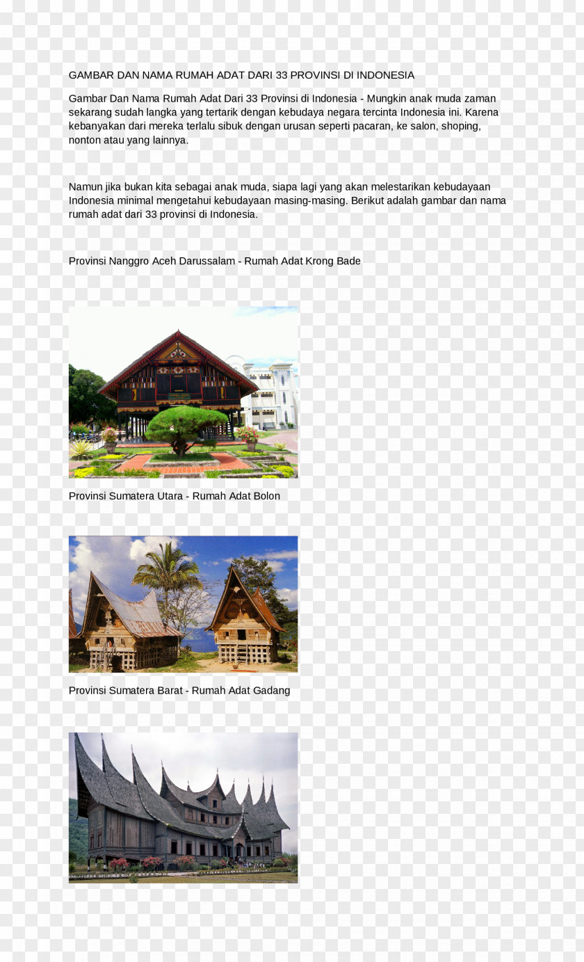 House Provinces Of Indonesia Central Sulawesi Rumah Adat Tongkonan PNG