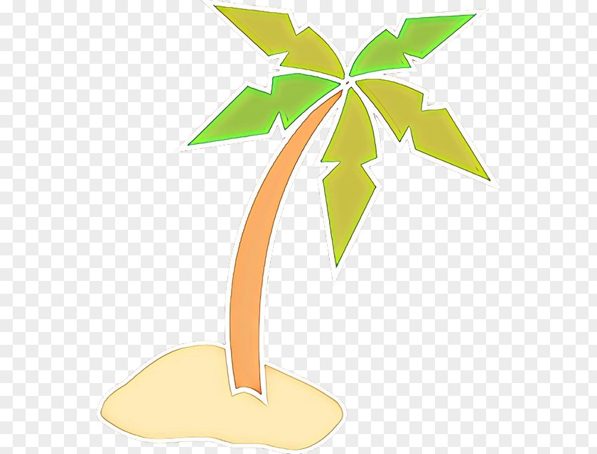 Plant Stem Arecales Palm Tree PNG