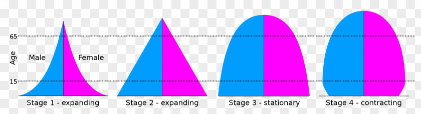 Pyramid Population Demographic Transition World Growth PNG