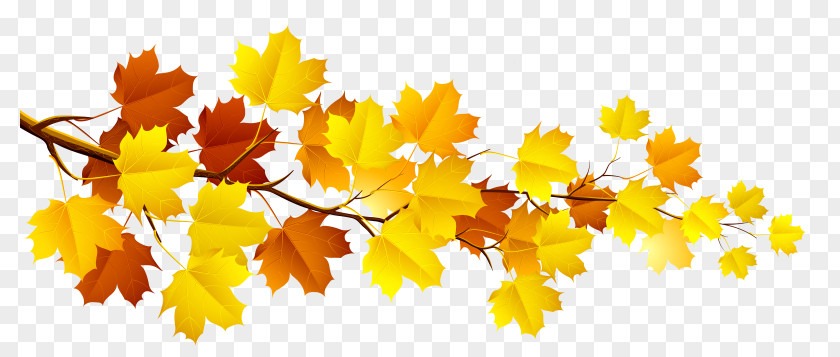 Autumn Clip Art Autumnal Leaves Image PNG