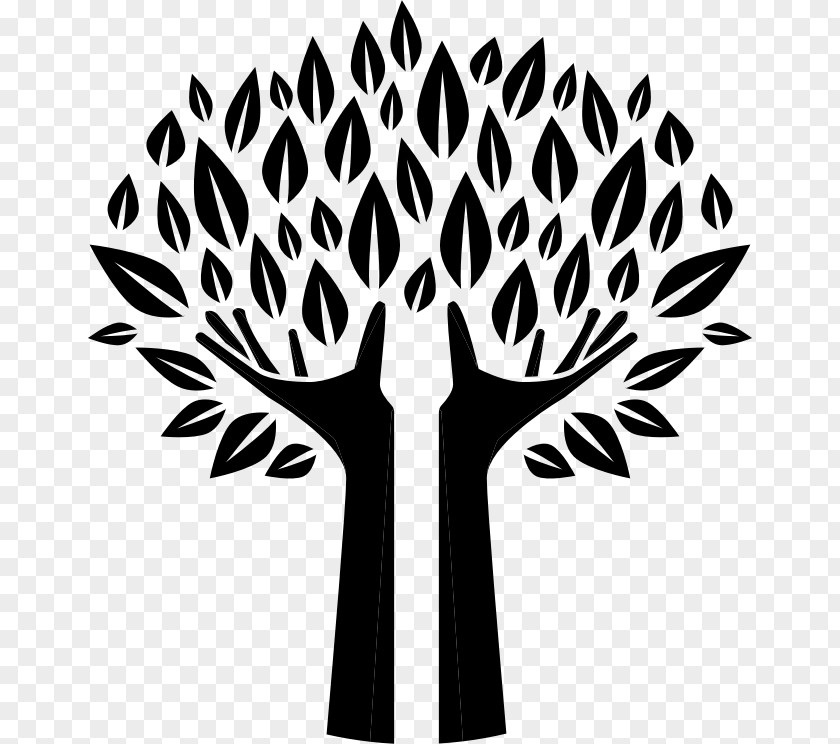 Clip Art Tree PNG