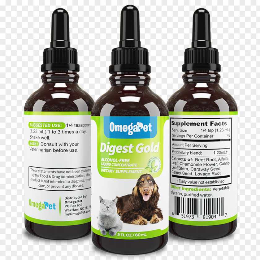 Dog Cough Medicine Cat Kennel Pet PNG
