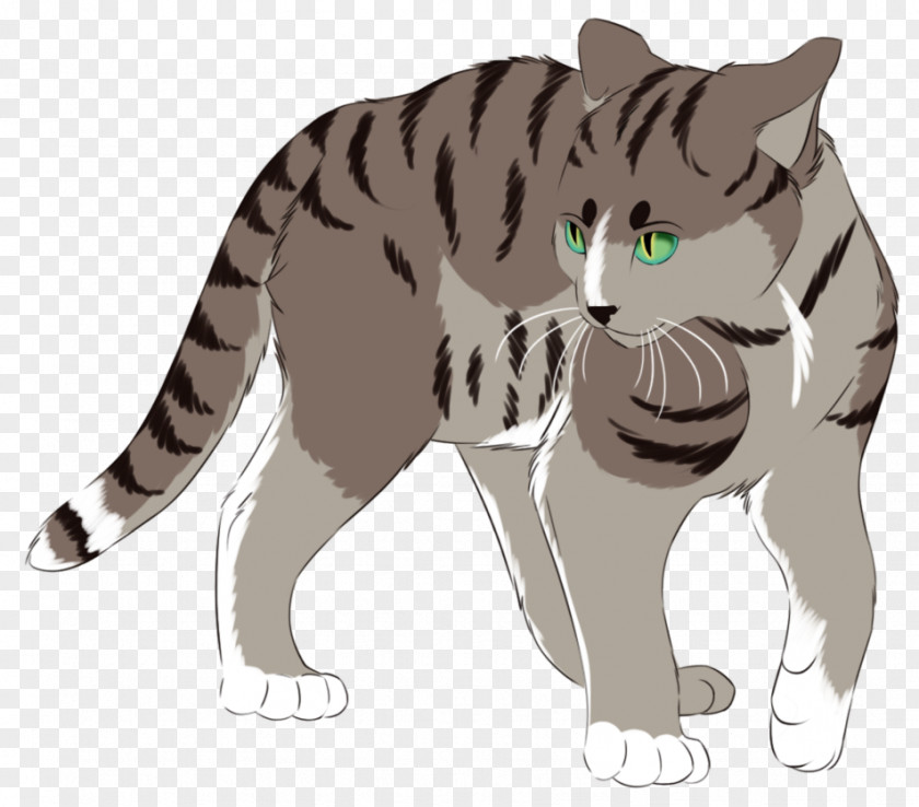 Kitten Whiskers Tiger Domestic Short-haired Cat PNG