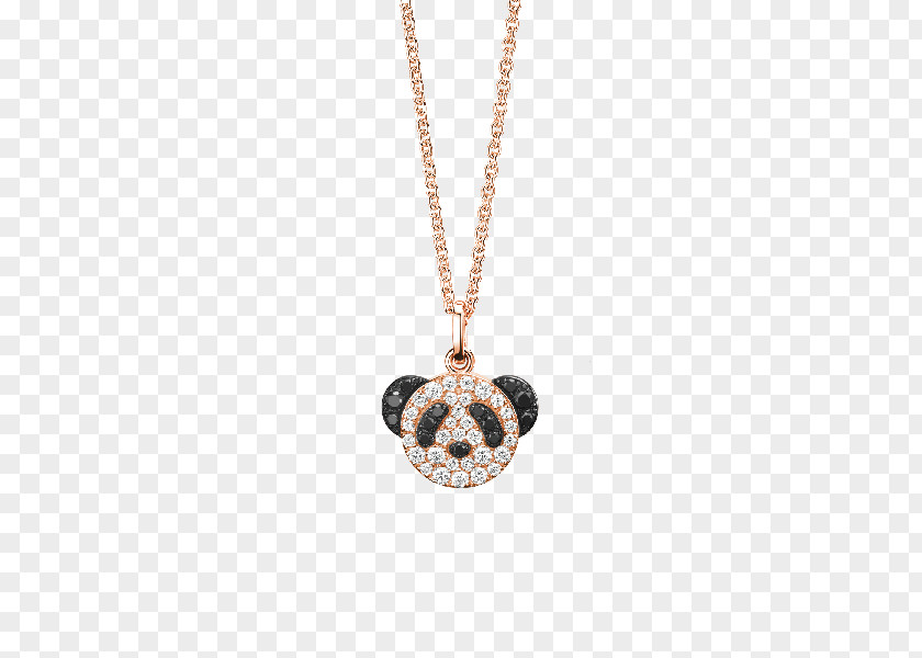 Necklace Locket Jewellery Silver Chain PNG