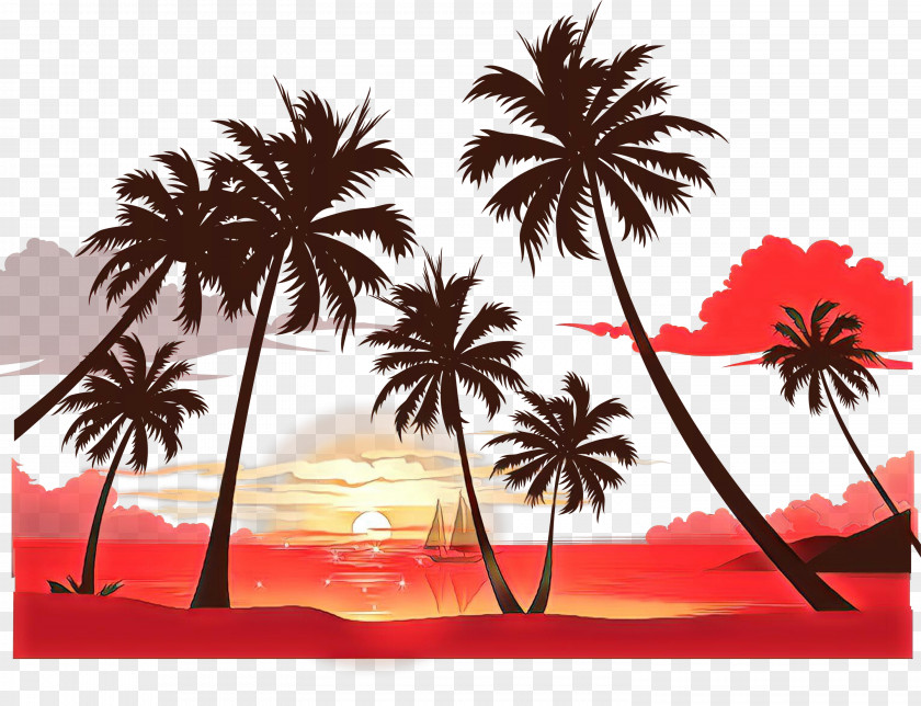 Palm Trees Desktop Wallpaper Sunset Coconut PNG