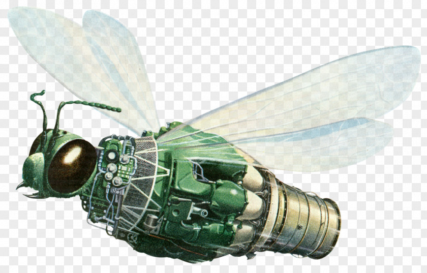 Pratt And Whitney Insect PNG