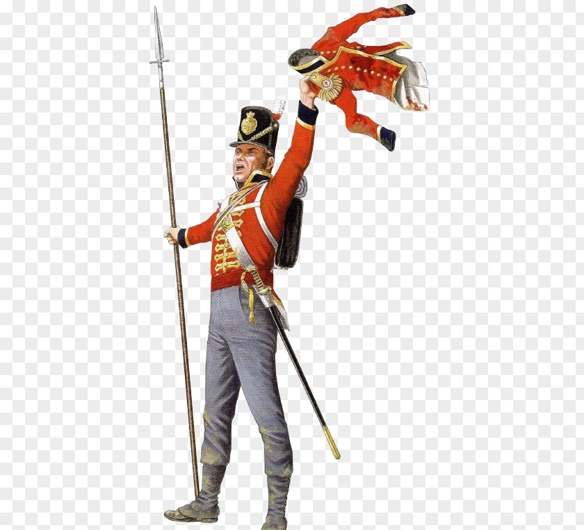 Soldier Napoleonic Wars Grenadier Battalion Regiment Infantry Of The British Army PNG