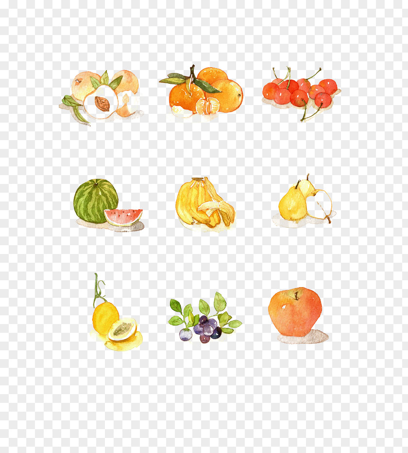 Vegetable Cartoon Peel Fruit Download PNG