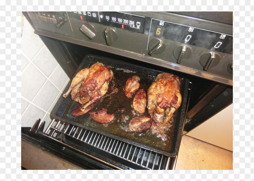 Barbecue Grilling Rotisserie Kitchen Home Appliance PNG