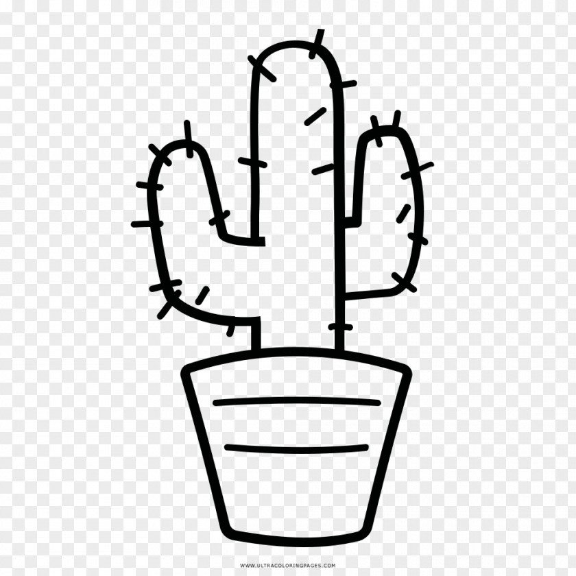 Coloring Book Cactaceae Drawing Doodle PNG